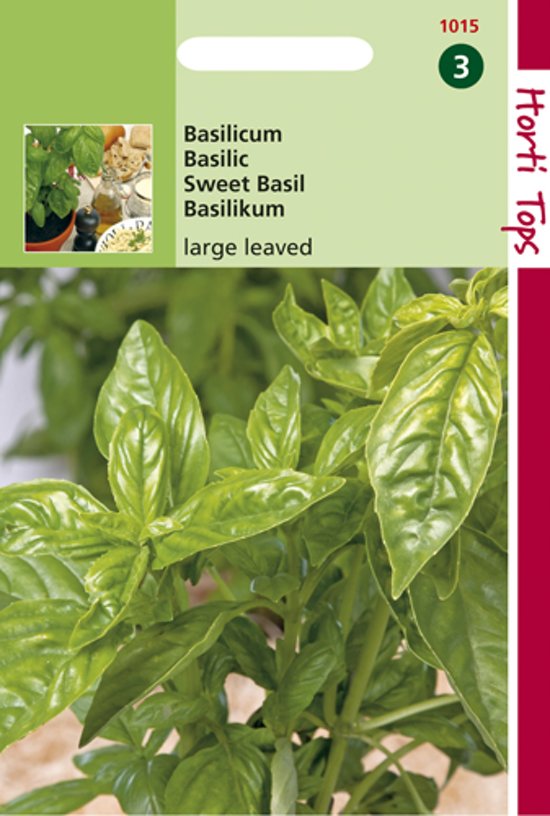 Basil large leaved (Ocimum basilicum) 900 seeds HT